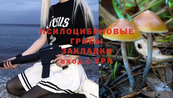 не бодяженный Верхний Тагил